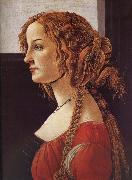 Sandro Botticelli  France oil painting artist